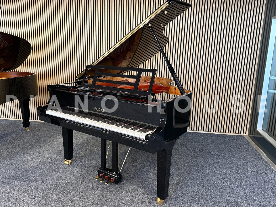 FEURICH 179 & DYNAMIC II (Black Polish & Brass)